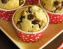 Chocolate Chip Muffin